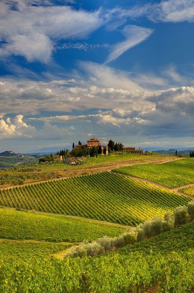 Eggers, Julie 아티스트의 Italy-Tuscany A view of the vineyards and villa in Chianti region of Tuscany-Italy작품입니다.